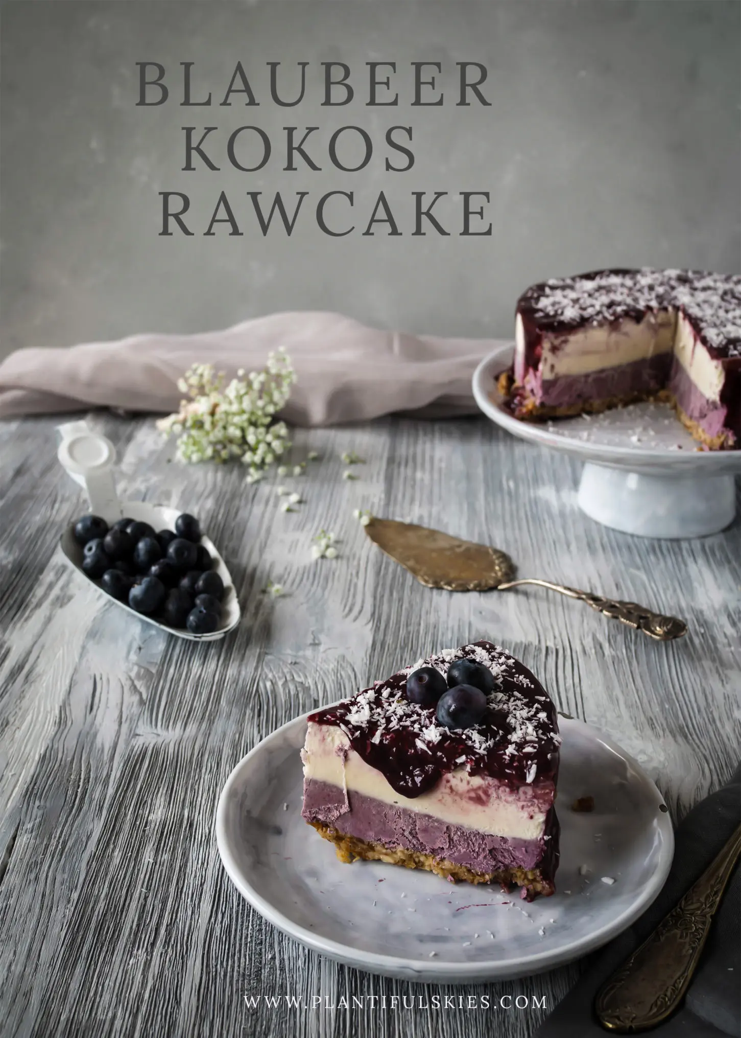 blaubeer kokos Rawcake