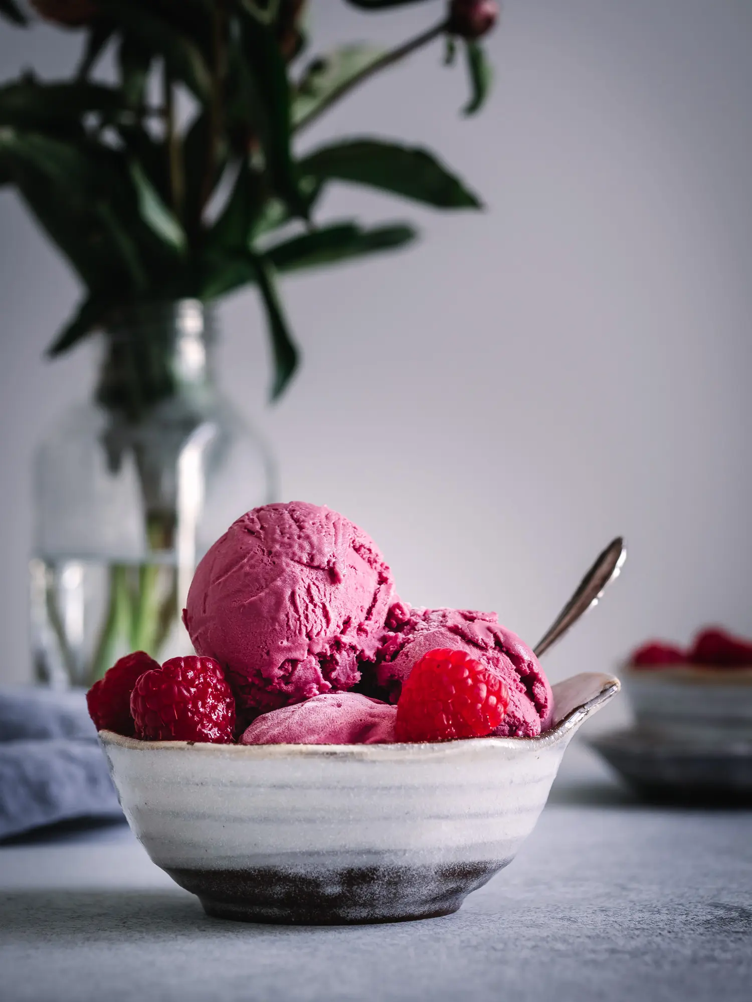 Skyreis : Eis aus Skyr Joghurt und Himbeeren Zuckerfrei und Vegan