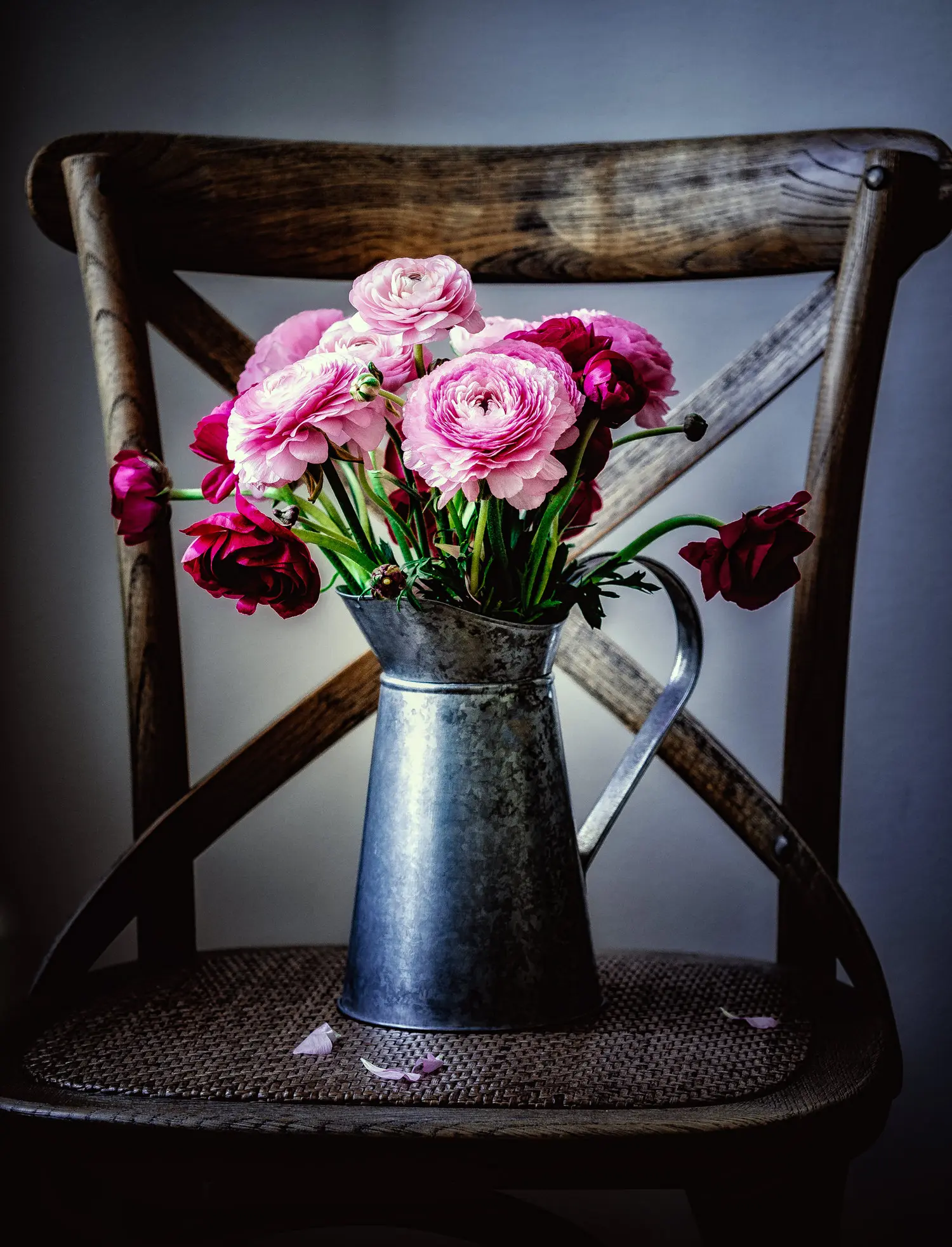 Stephanie Morfis Still Life & Flowers