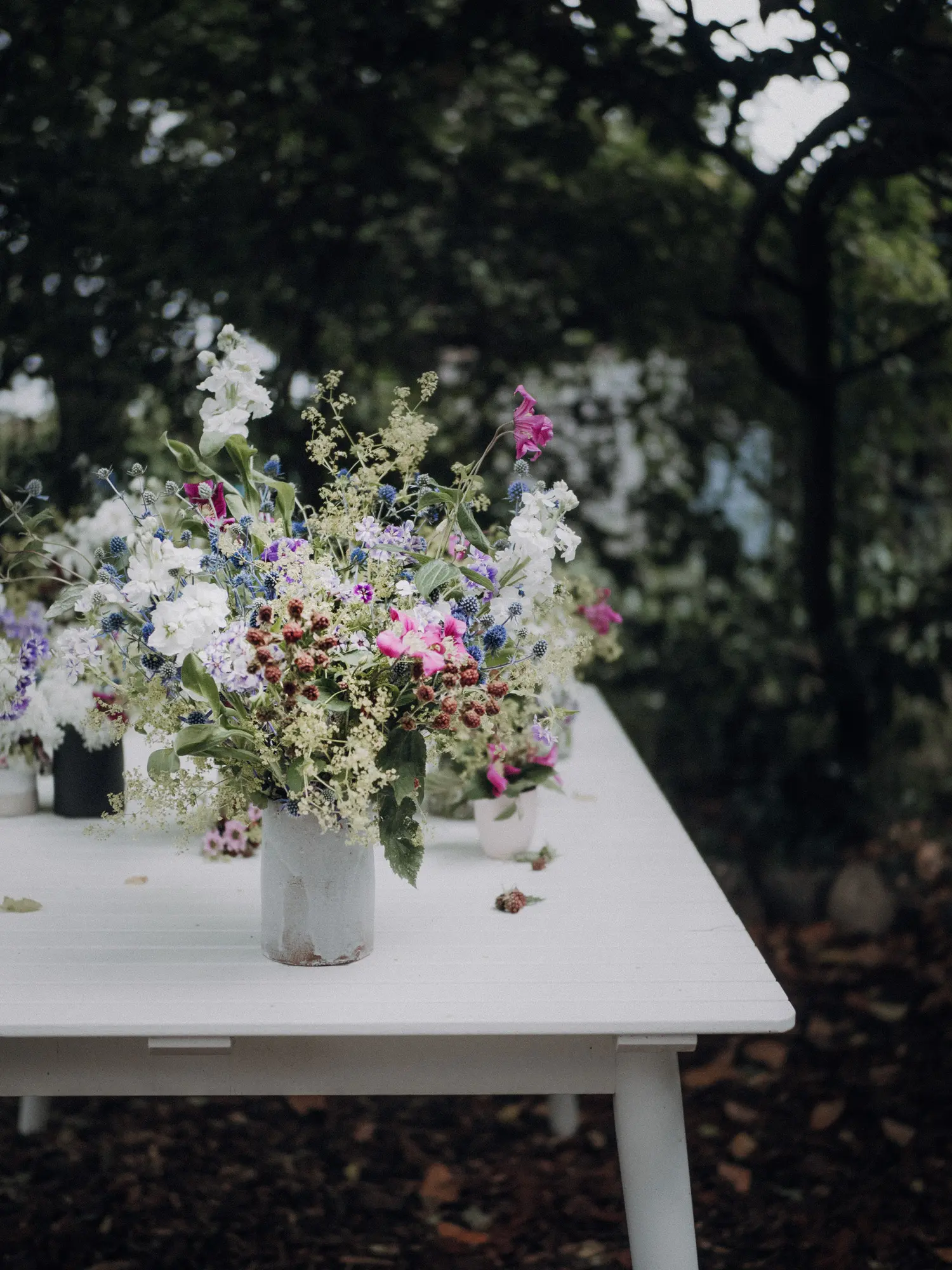 Stephanie Morfis Still Life & Flowers