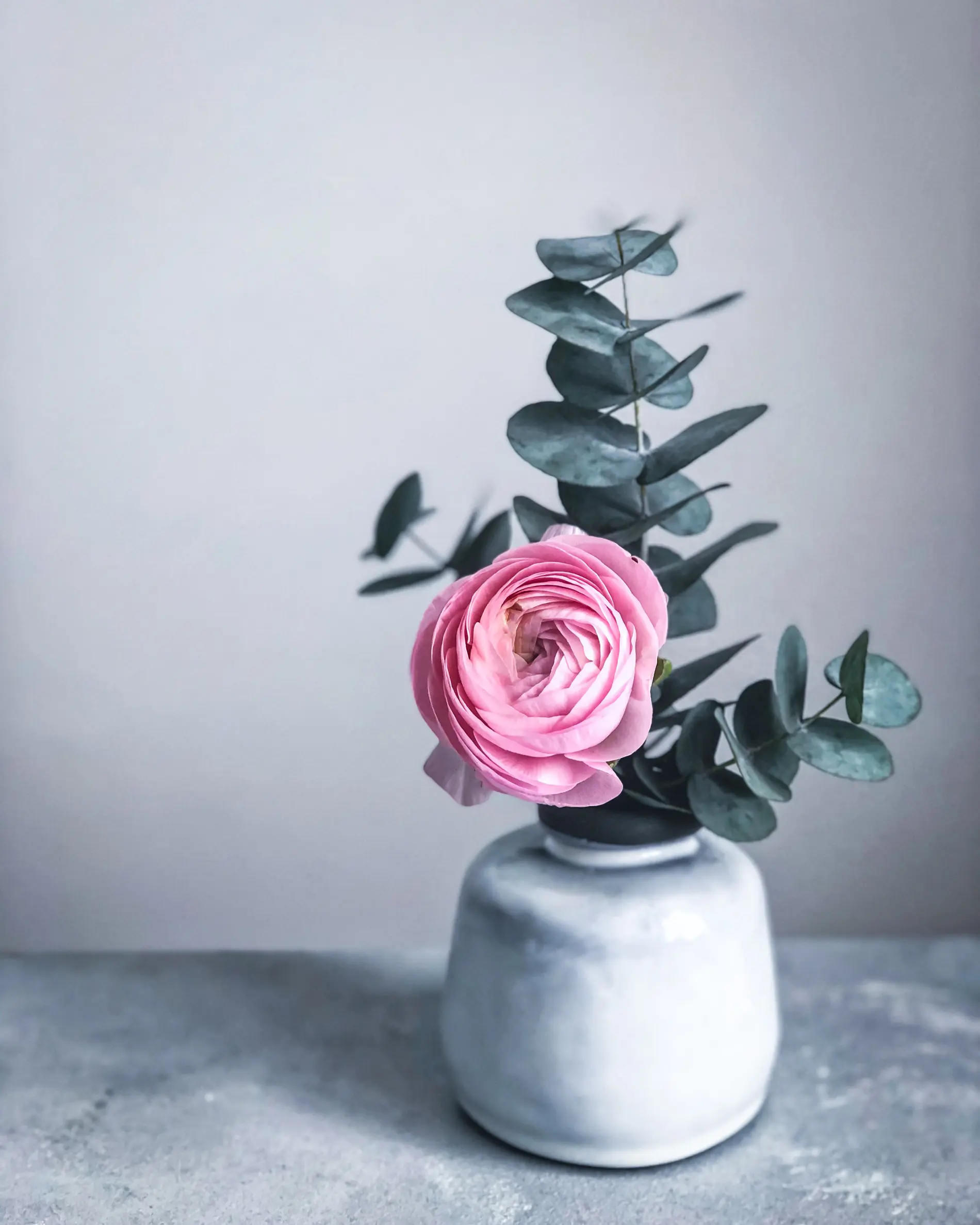 Stephanie Morfis Still Life & Flowers